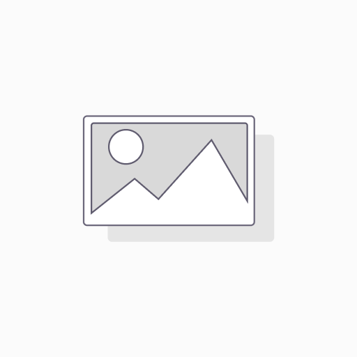 [CGO-0011] Wok de carne